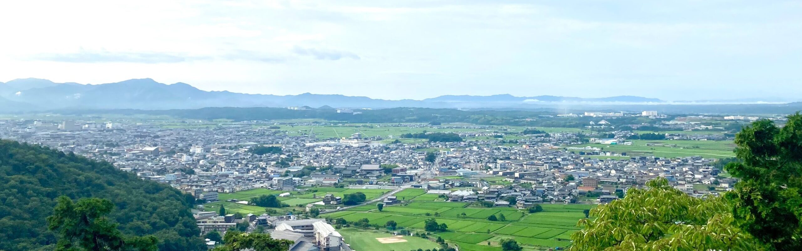 シンプルでカスタマイズしやすいWordPress.org登録テーマ